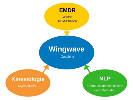 Grafik Ursprung und Bestandteile des Wingwave